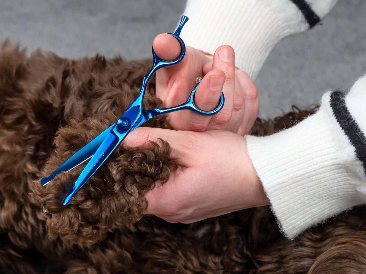 TOPAZ - 6” Premium Bull Nose High Gloss Blue Dog Grooming Scissors Shears | Right Handed