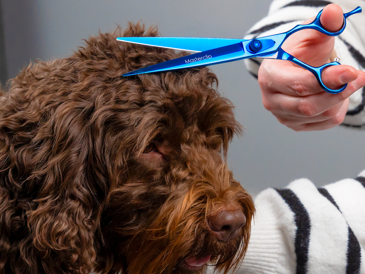 TOPAZ - 7.5” Premium High Gloss Blue Finishing Dog Grooming Scissors Shears | Right Handed