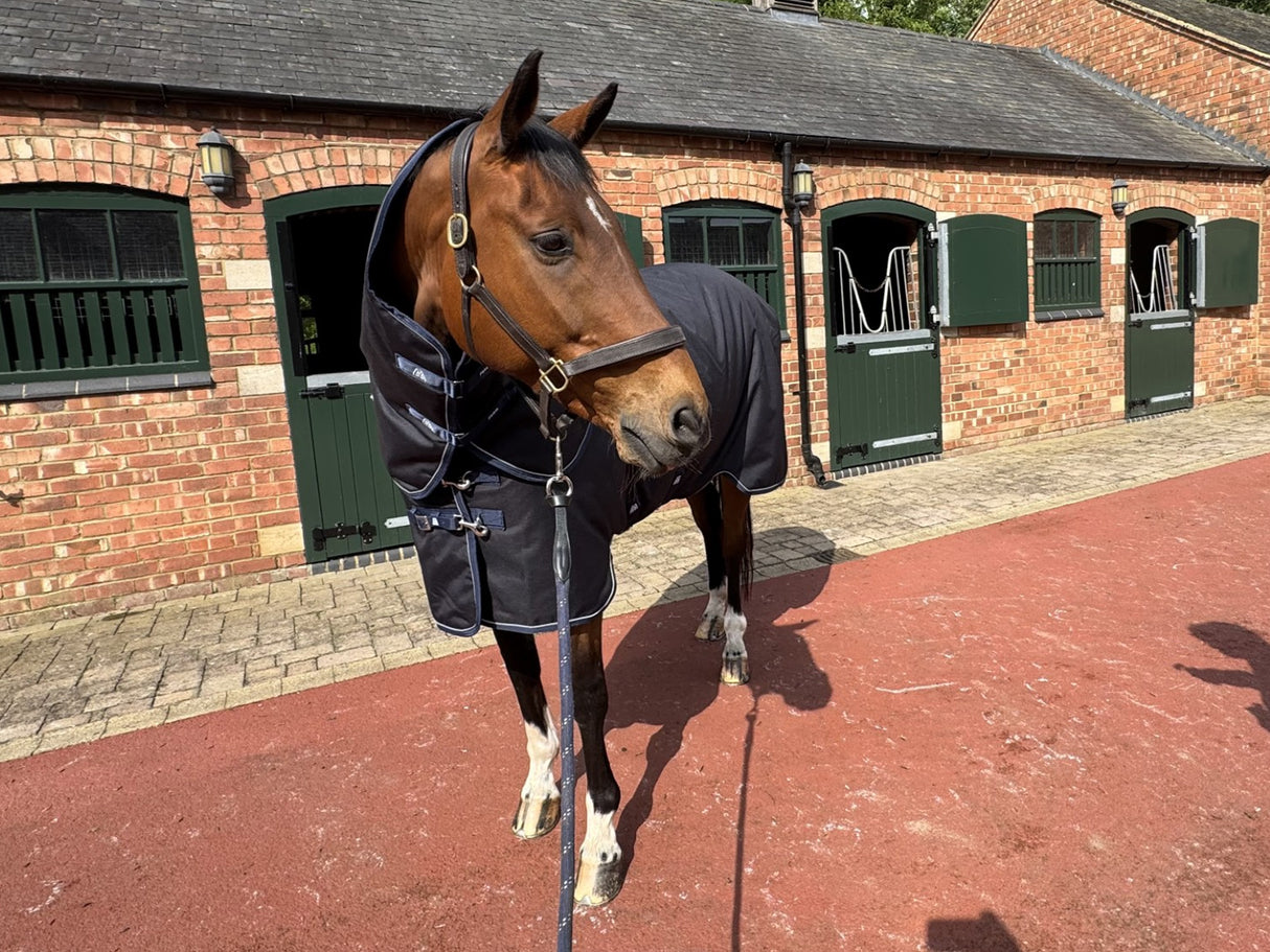 Masterclip 100G Transitional Turnout Rug - Waterproof & Breathable
