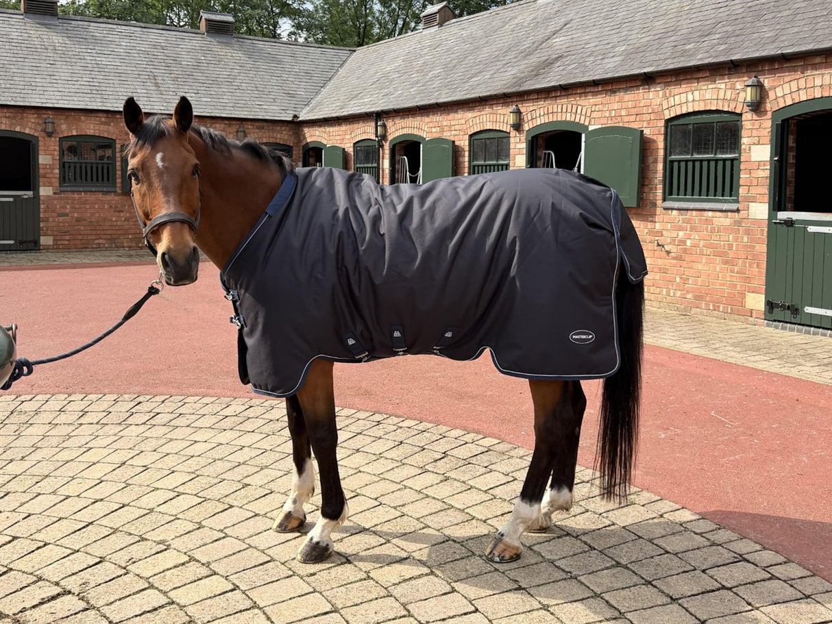 Masterclip 100G Transitional Turnout Rug - Waterproof & Breathable