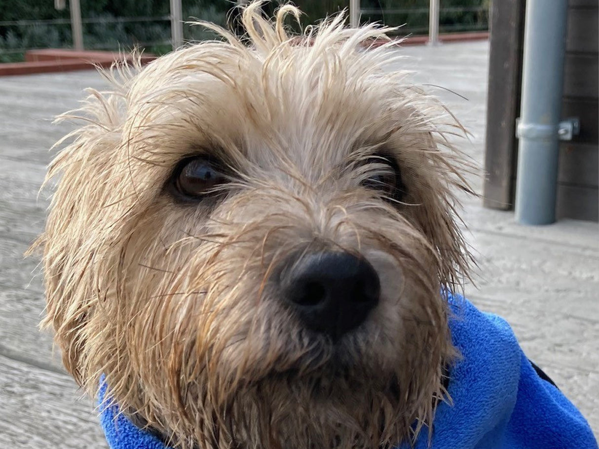 Microfibre Cloth - Large