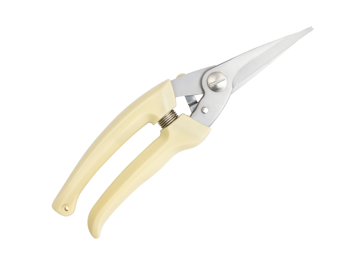 Super Sharp Foot Rot Shears