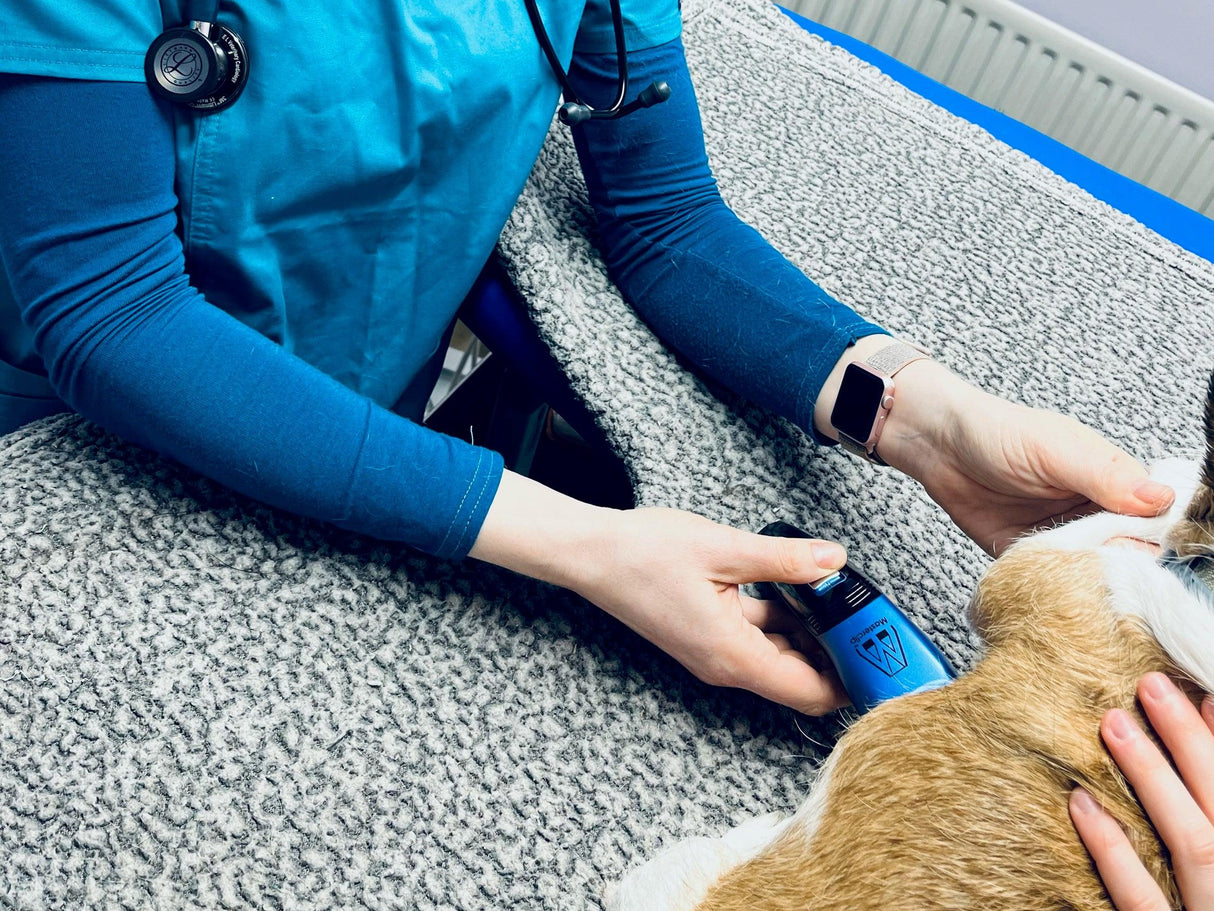Blue Cordless Veterinary Showmate II Trimmer - Masterclip