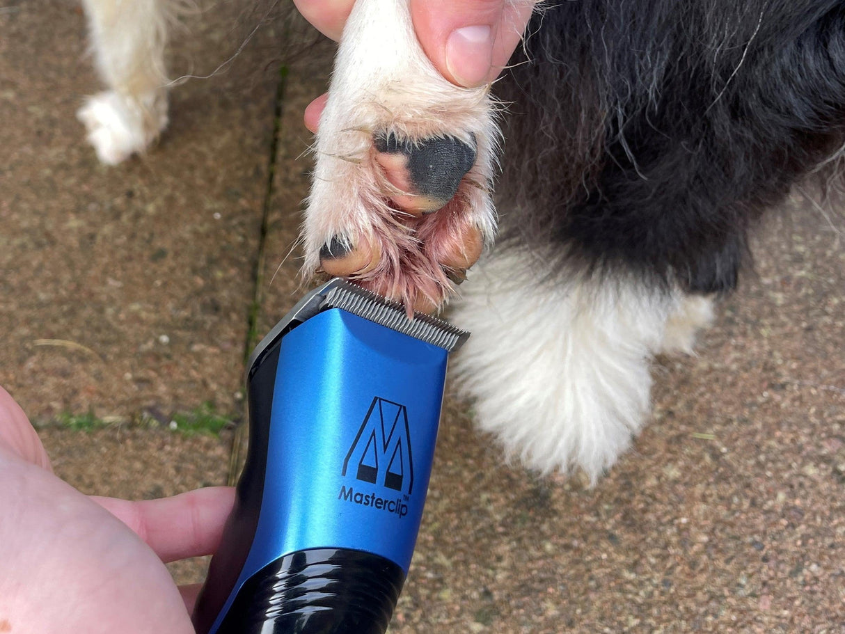 Blue Cordless Veterinary Showmate II Trimmer - Masterclip