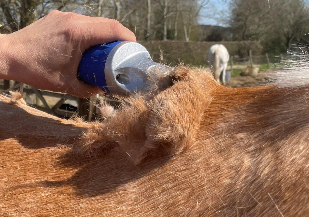 Blue Hunter & Pink Showmate II Combo - Masterclip