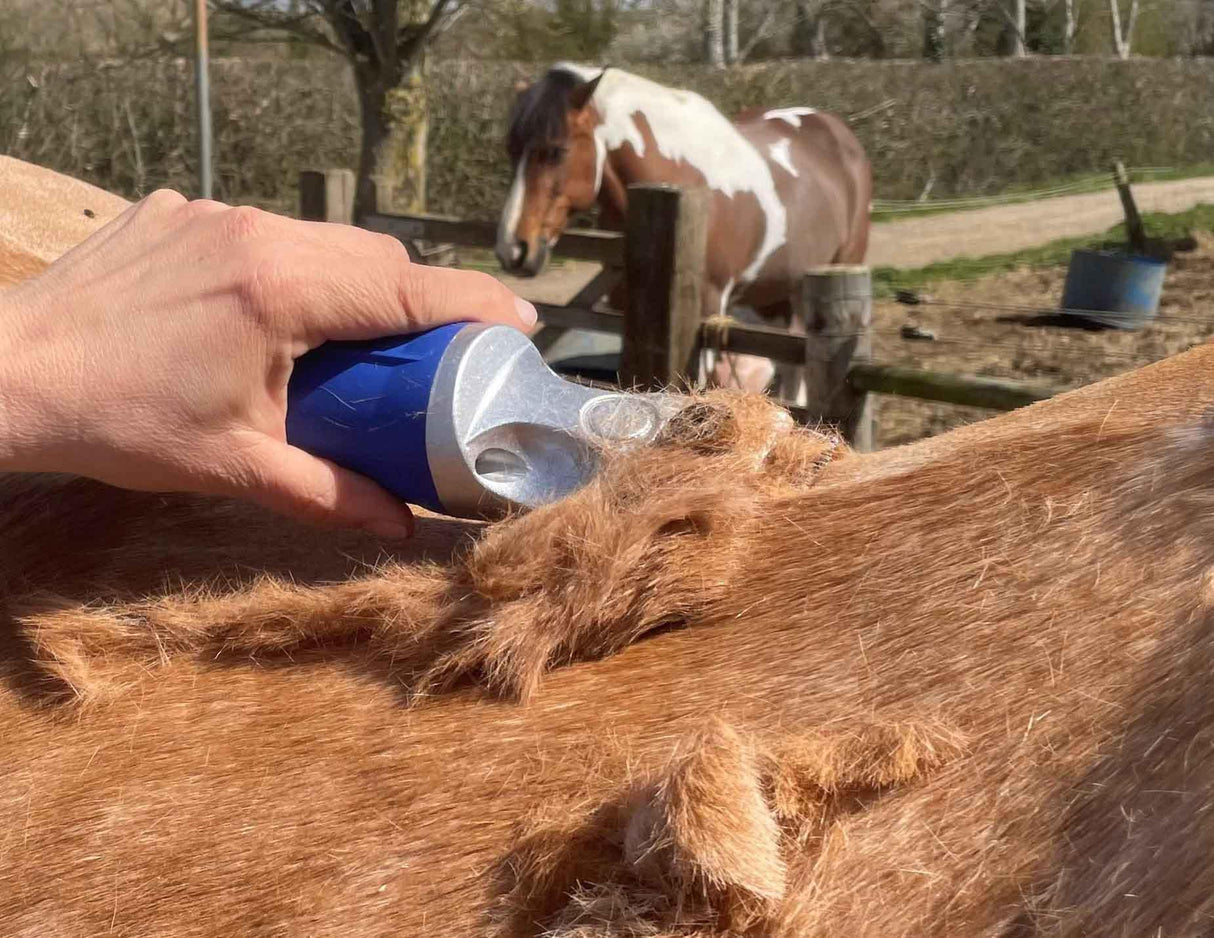 Blue Hunter & Pink Showmate II Combo - Masterclip