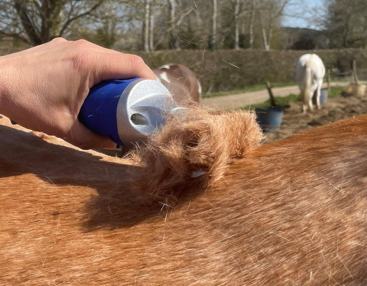 Blue Hunter & Silver Showmate II Combo - Masterclip