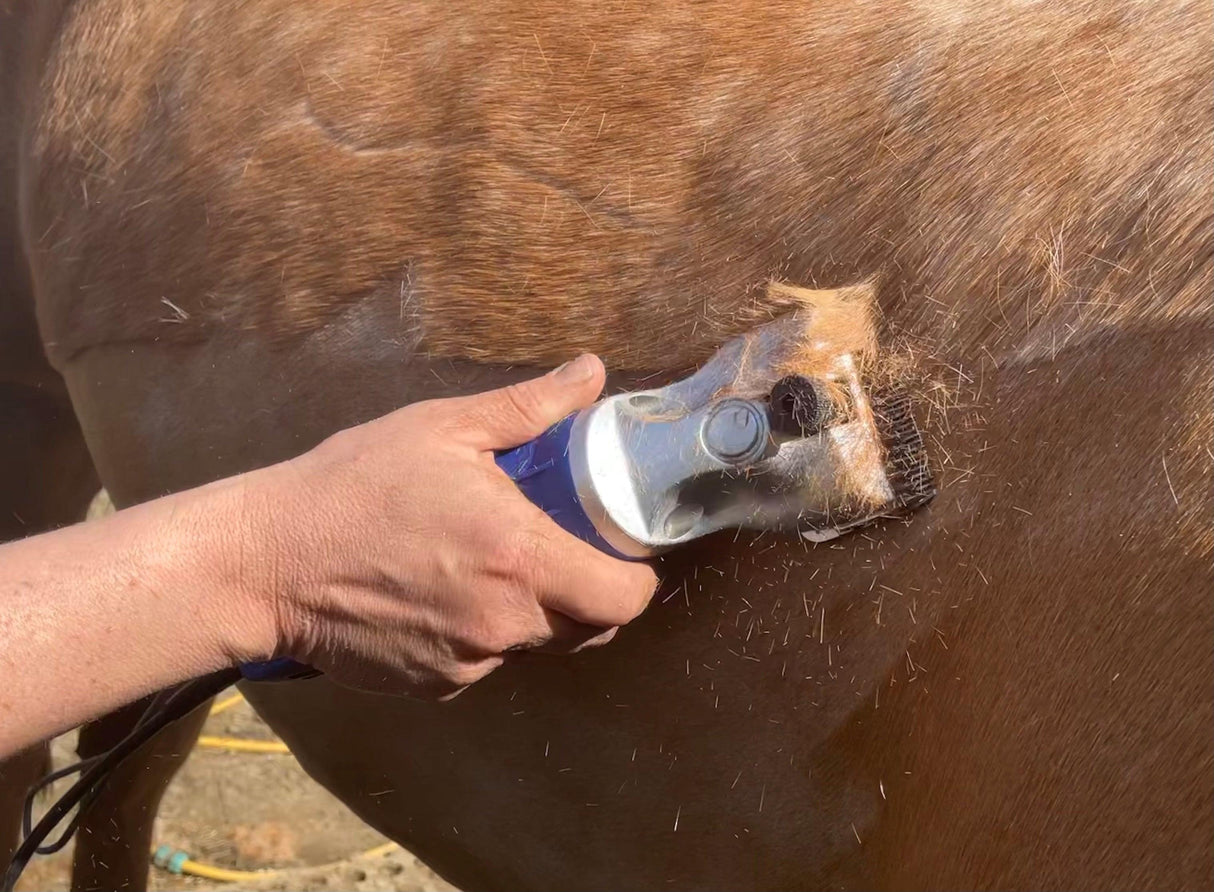 Blue Hunter & Silver Showmate II Combo - Masterclip