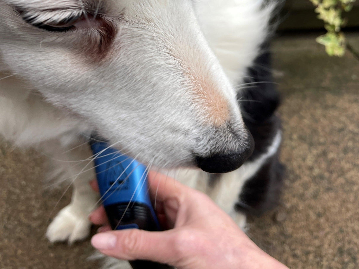 Bluw Showmate Clipping all breed dogs