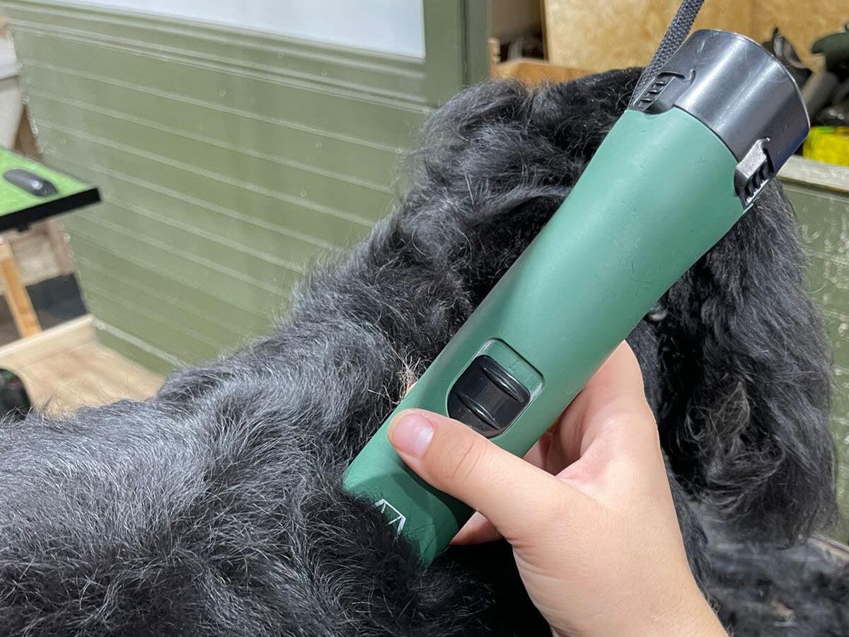 Cavalier King Charles Spaniel Clipper Set - Cordless - Masterclip