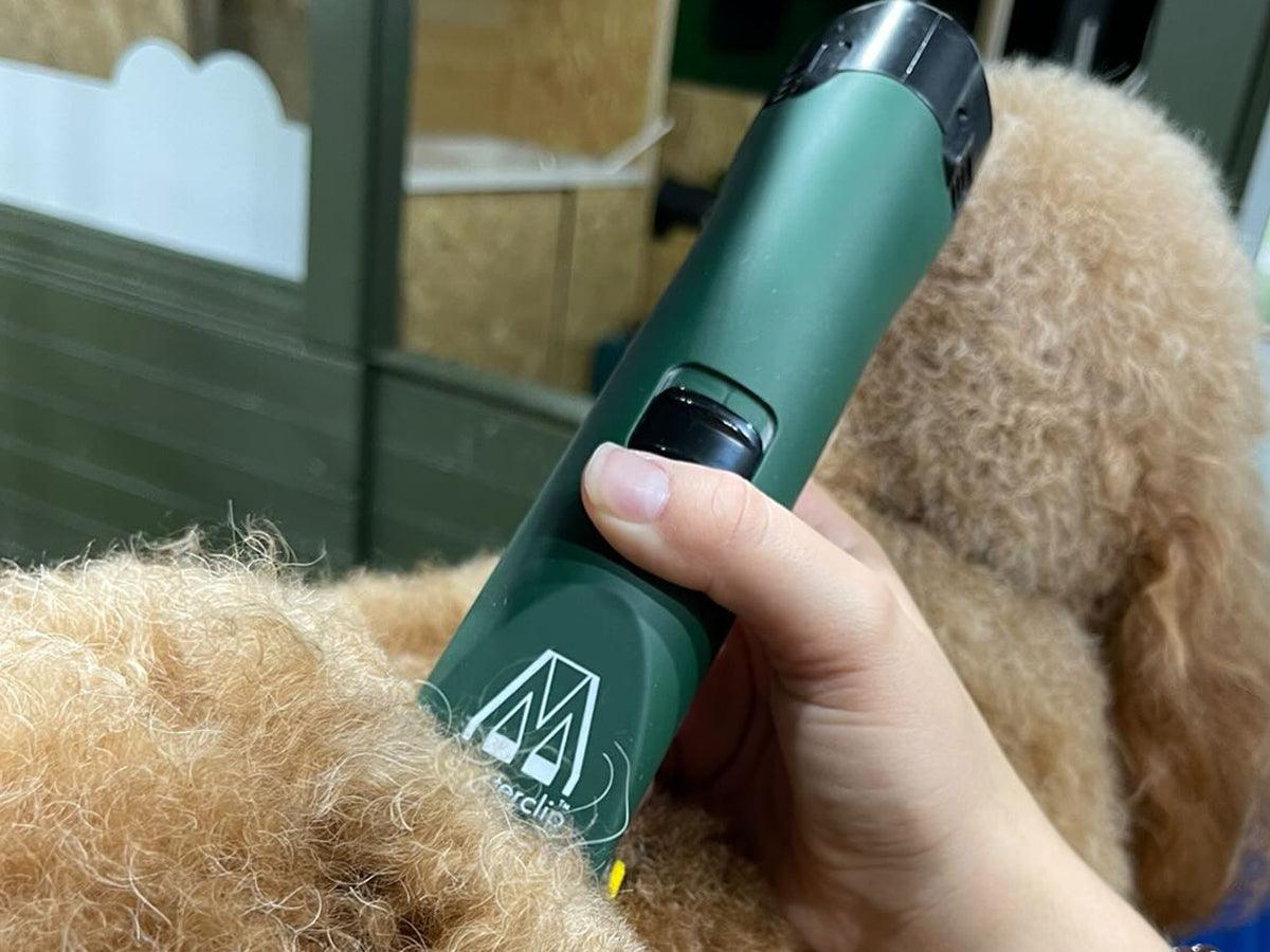 Cavapoo Dog Clipper Set - Cordless - Masterclip