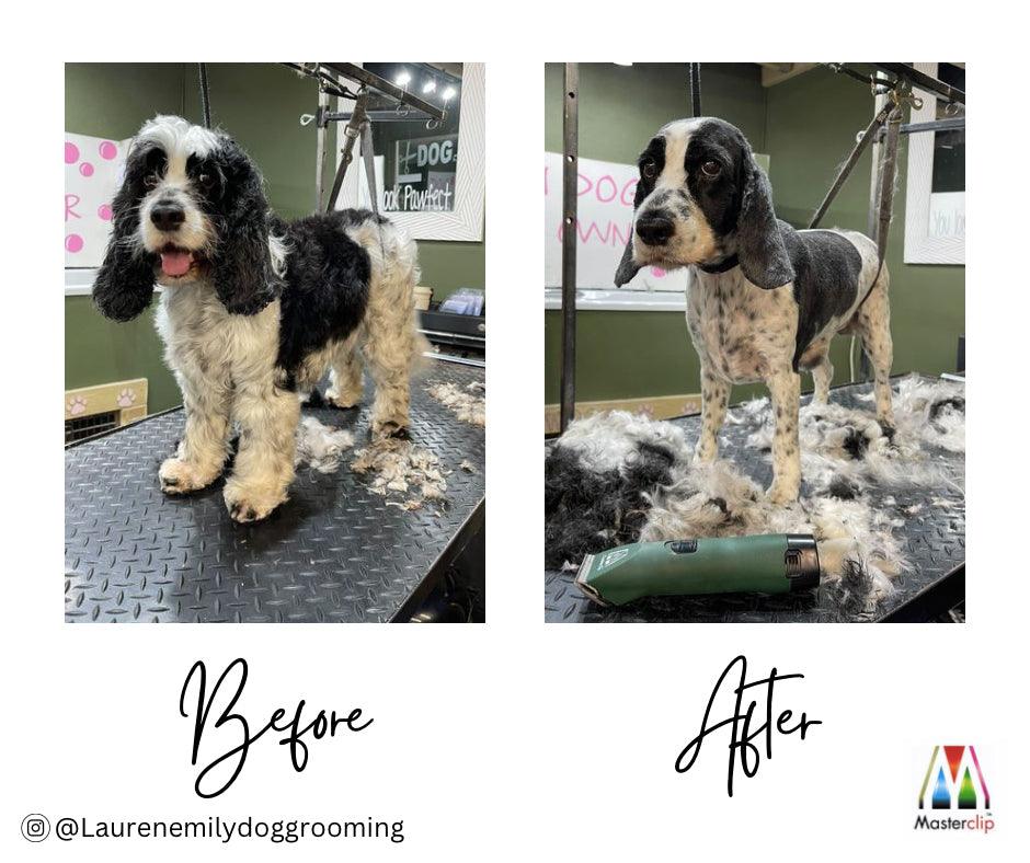 Cocker Spaniel Clipper Set - Cordless - Masterclip