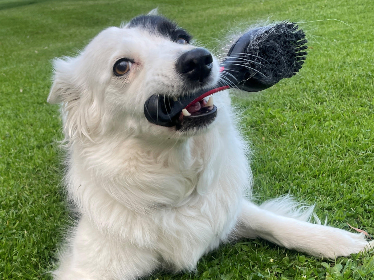 Essentials Pet Grooming Set - Masterclip