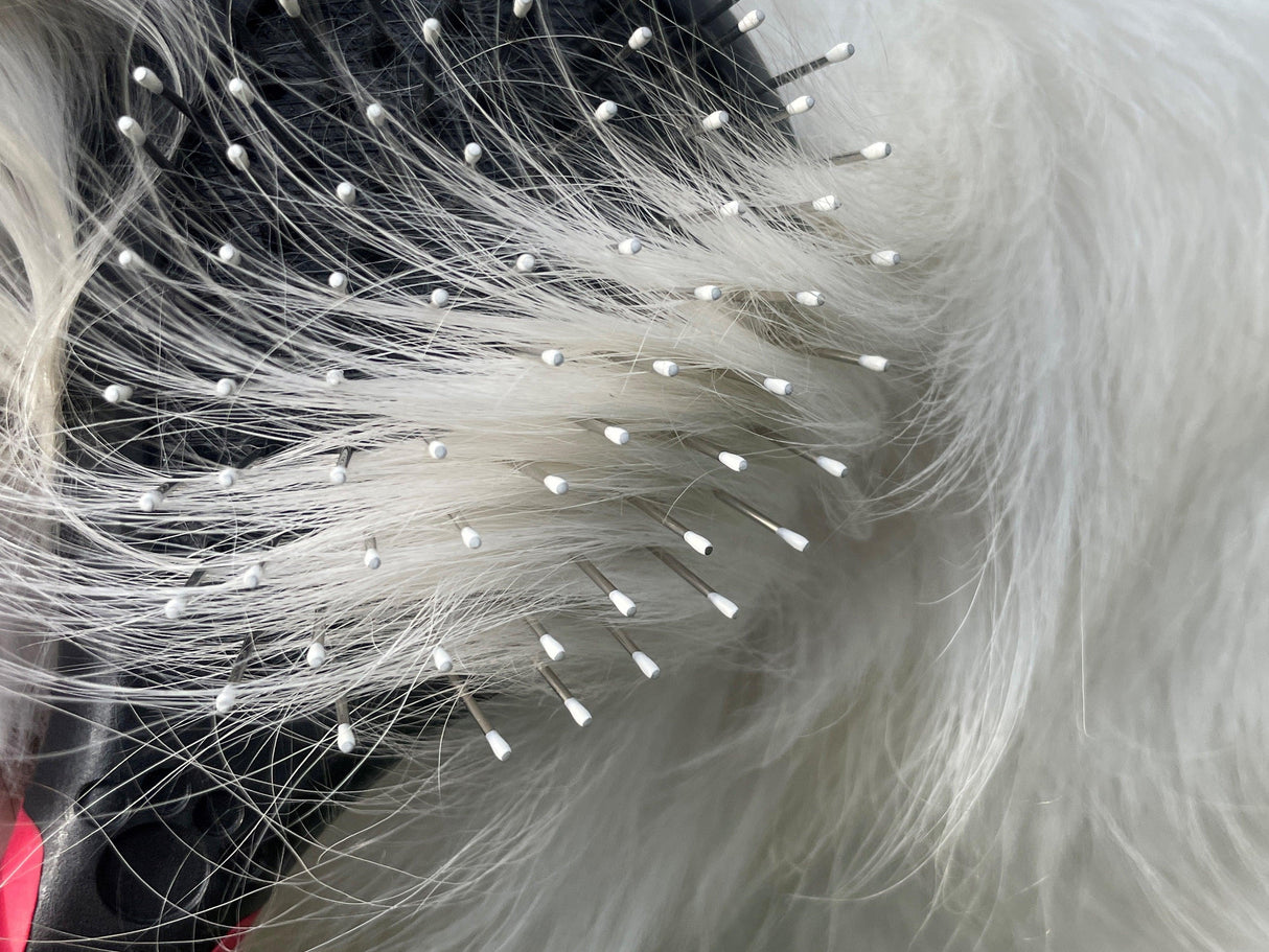 Essentials Pet Grooming Set - Masterclip