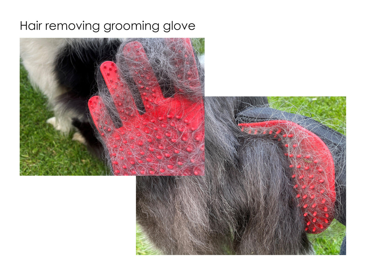 Essentials Pet Grooming Set - Masterclip