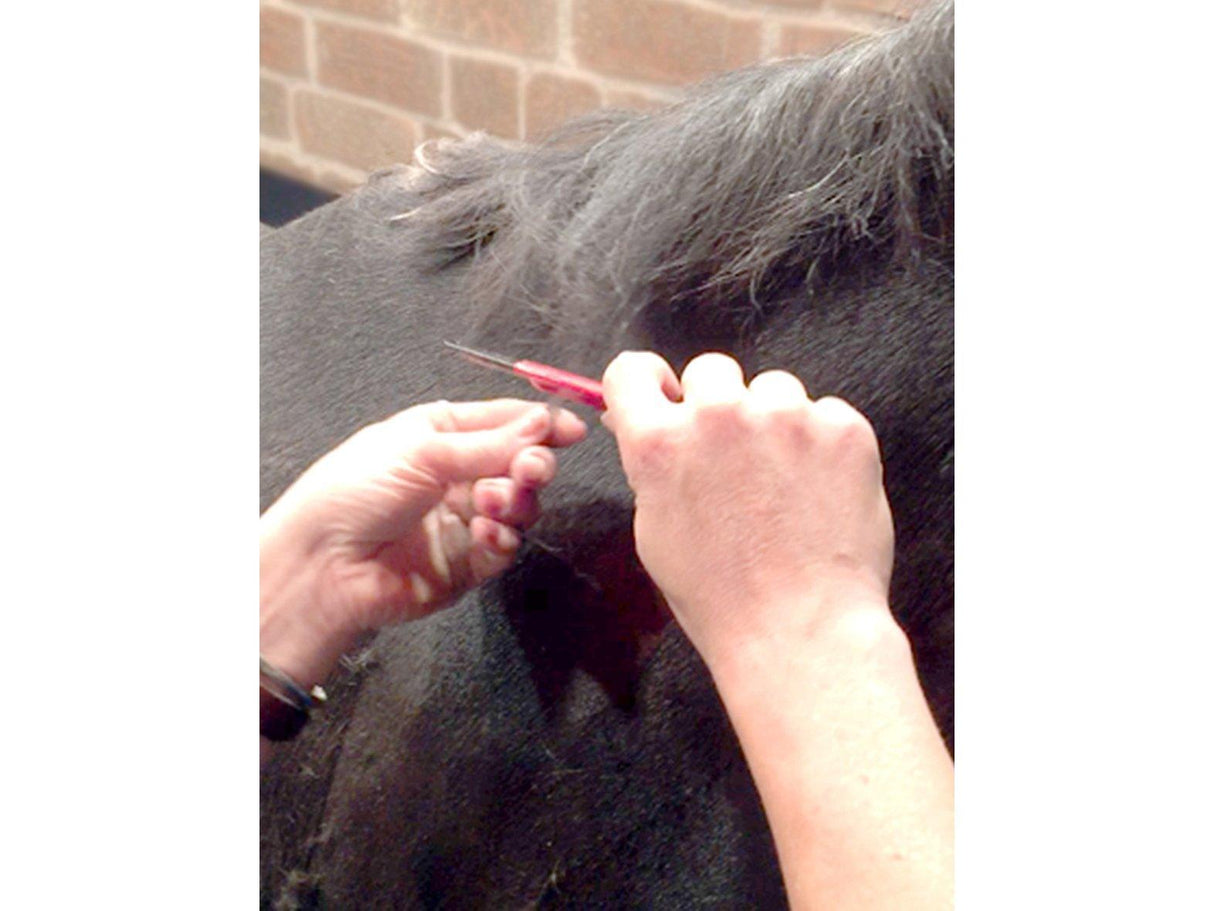 Fine Stripping Knife for Manes & Tails-Masterclip