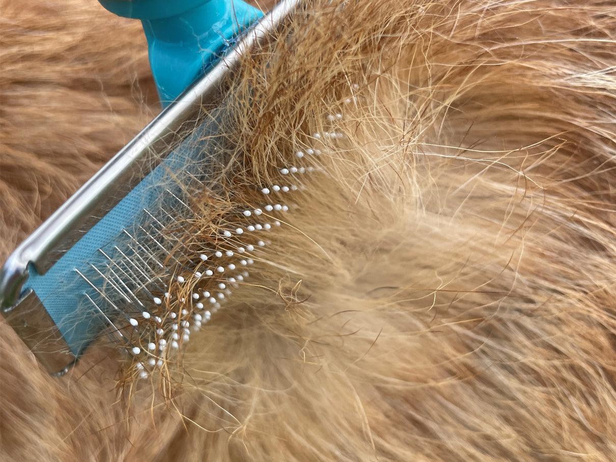 Home Grooming Starter Pack - Pedigree Pro Clipper & 10 Blade with 4 Metal Comb Guides, Slicker Brush, & Bull Nose Scissor. FREE Metal Comb & Clipper Oil