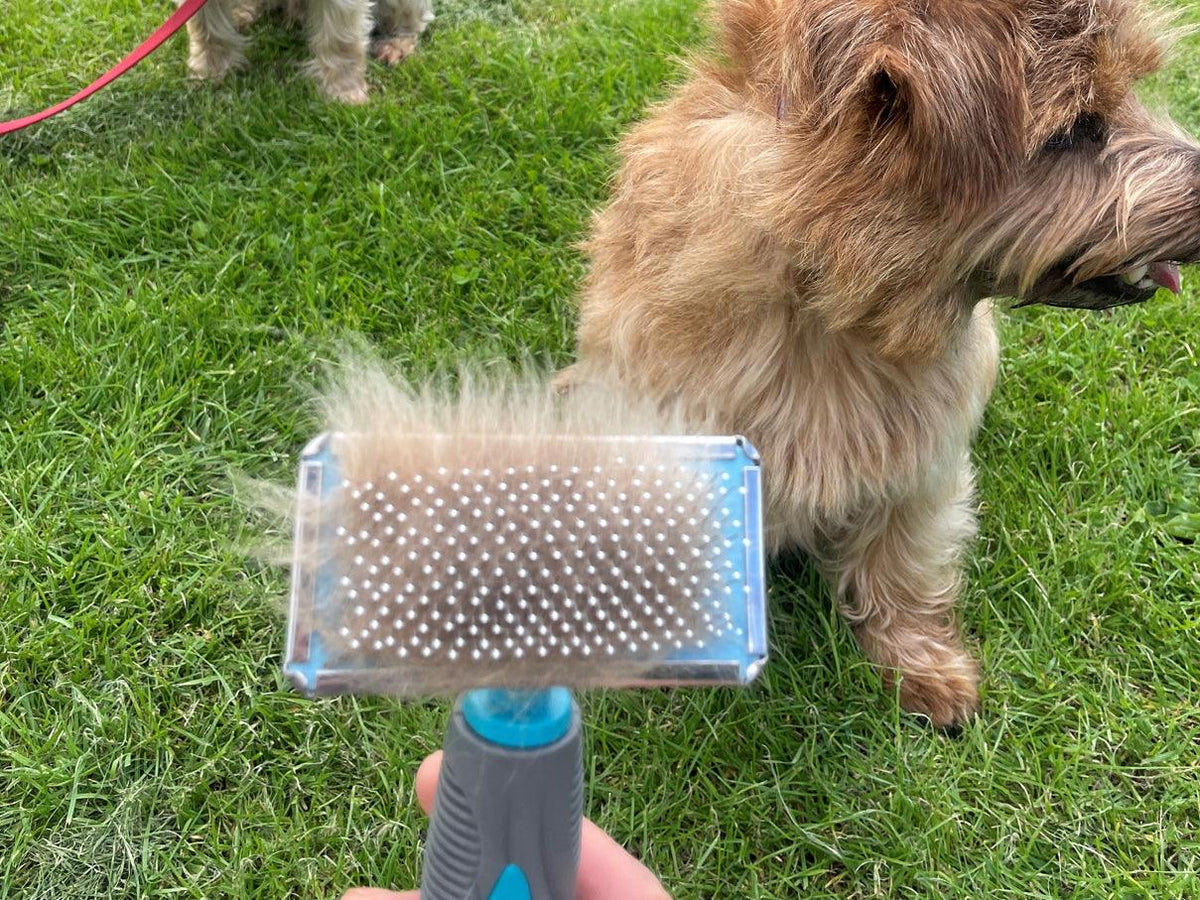 Hard Pin Slicker Brush Small Masterclip