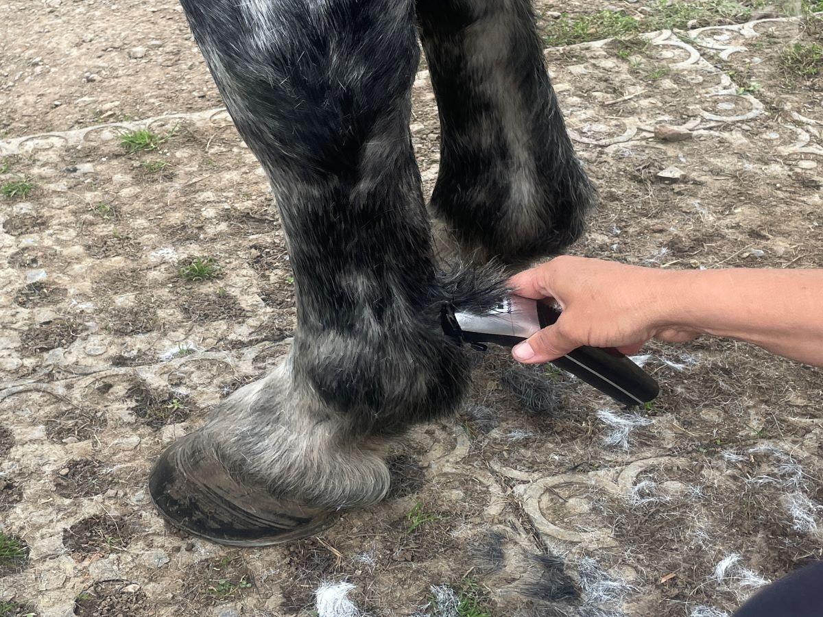 Green Hunter & Silver Showmate II Combo - Masterclip