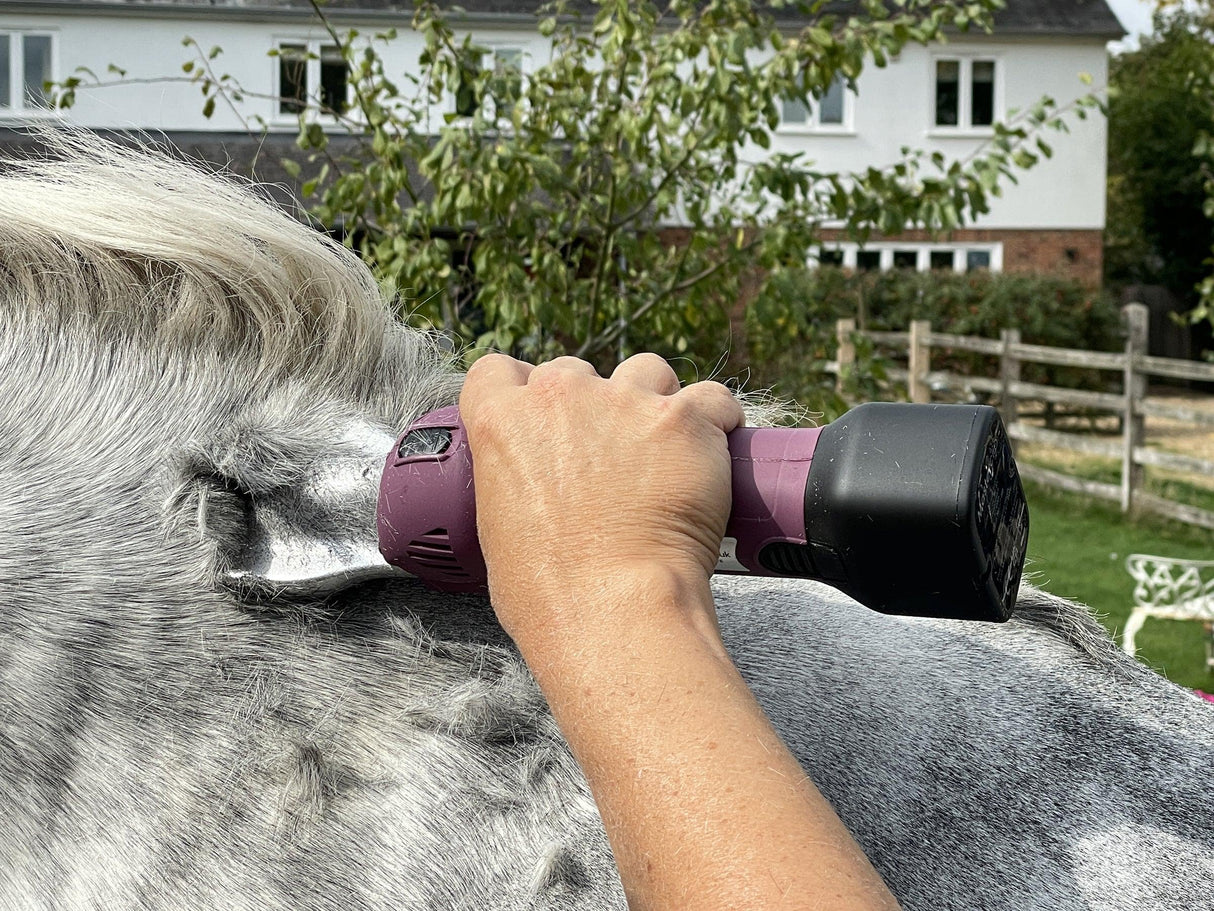 HD Roamer & Blue Showmate II Combo - Masterclip