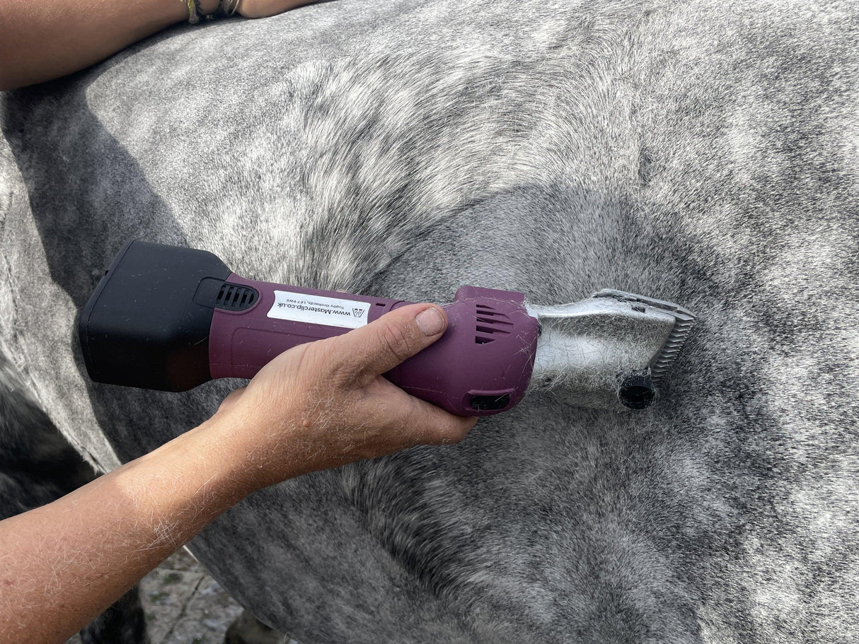 HD Roamer & Blue Showmate II Combo - Masterclip