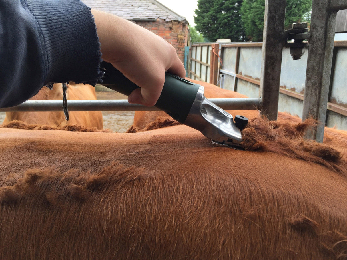 Hunter Cattle Clipper with 1 x 2.5mm A2 Blade for Backs & Tails-Masterclip