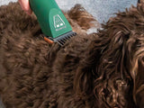 Sproodle Dog Clipper Set - Cordless