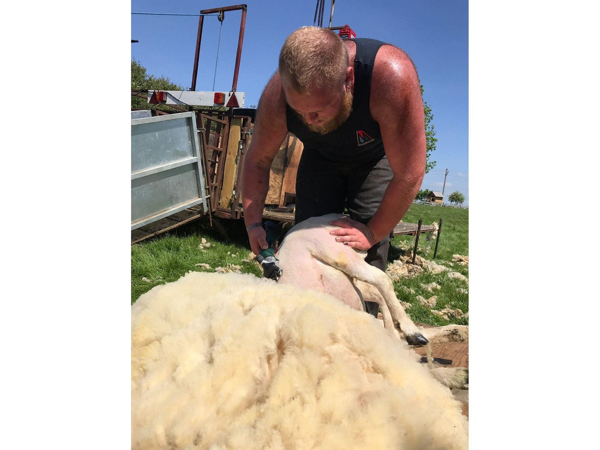 Outback Cordless Sheep Clippers-Masterclip