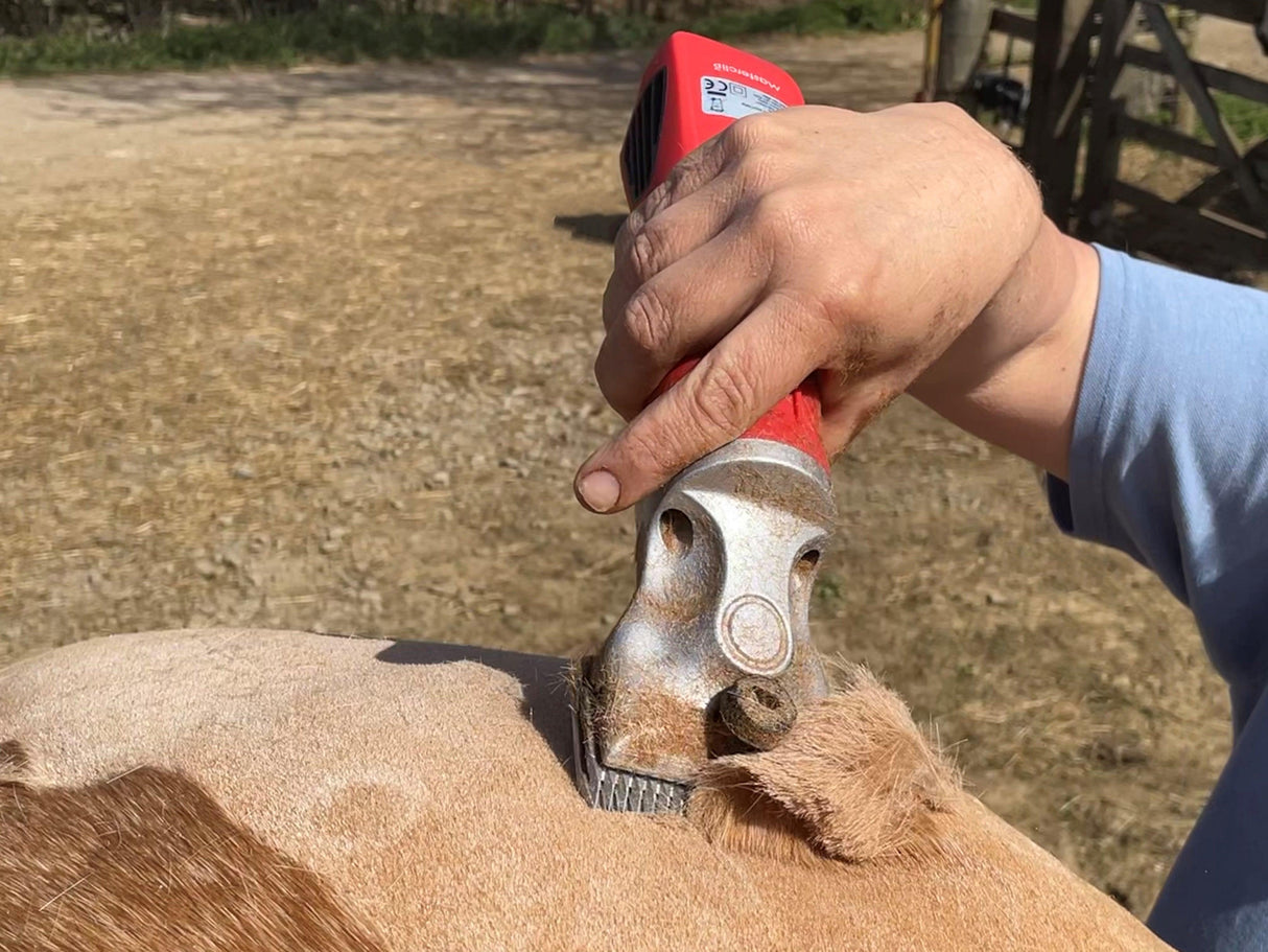 Red Hunter & Blue Showmate II Combo - Masterclip