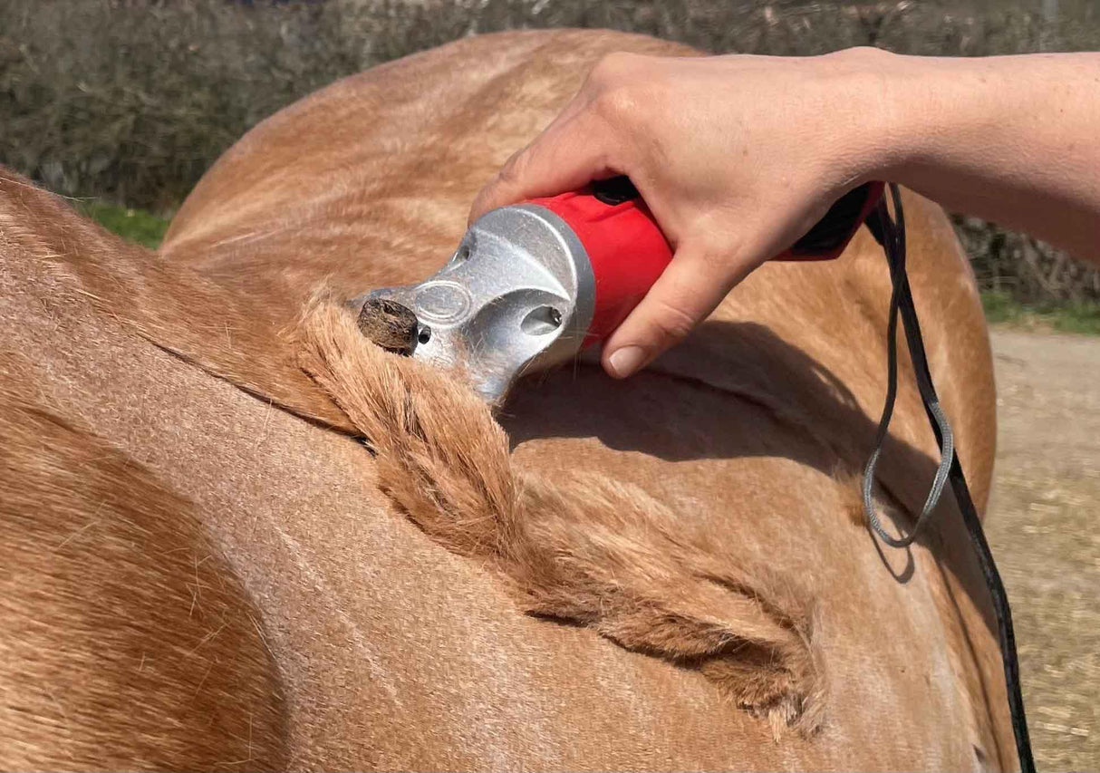 Red Hunter & Blue Showmate II Combo - Masterclip