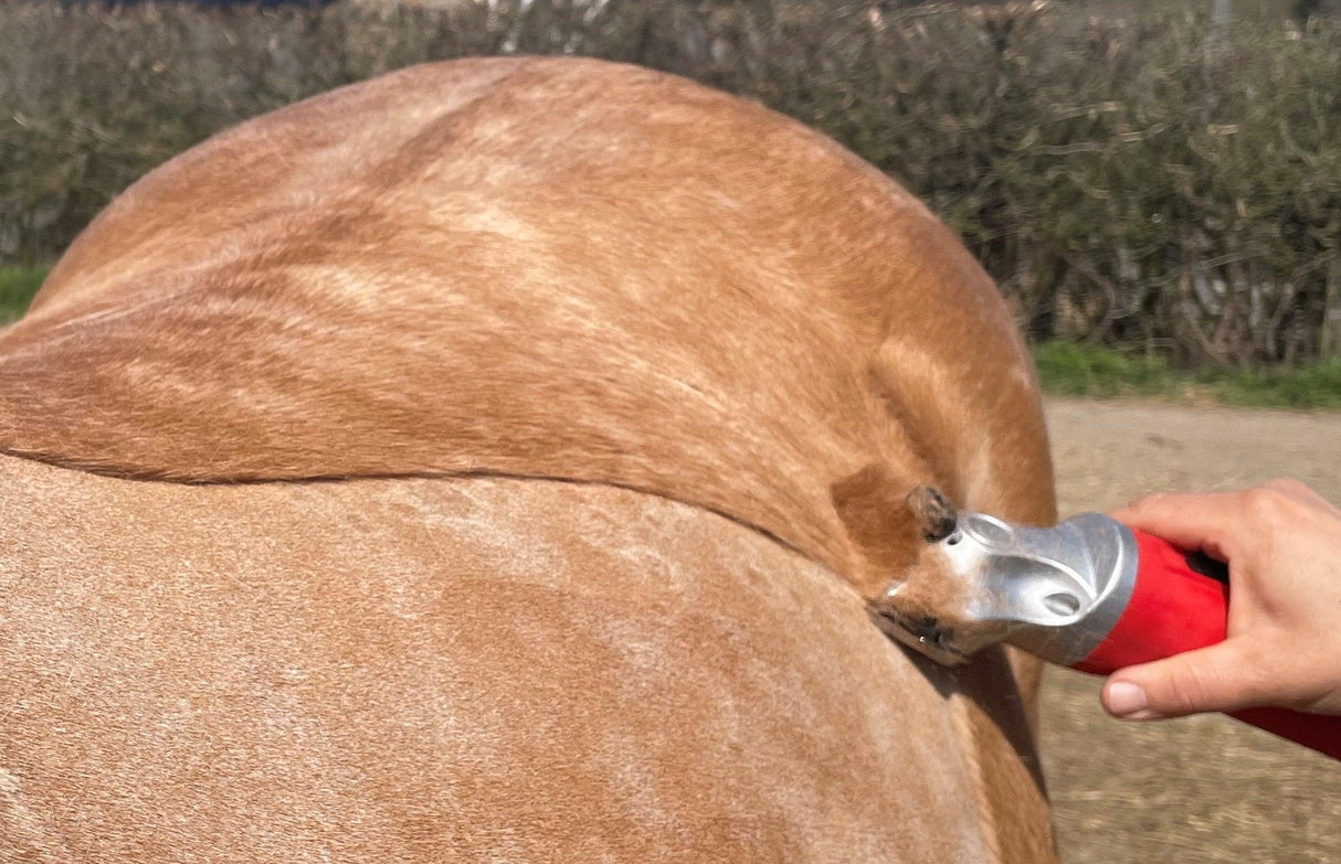 Red Hunter & Blue Showmate II Combo - Masterclip