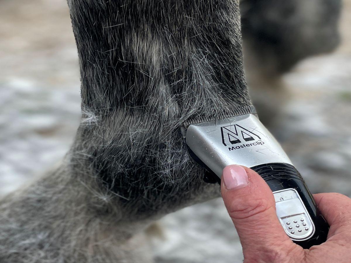 Red Hunter & Silver Showmate II Combo - Masterclip