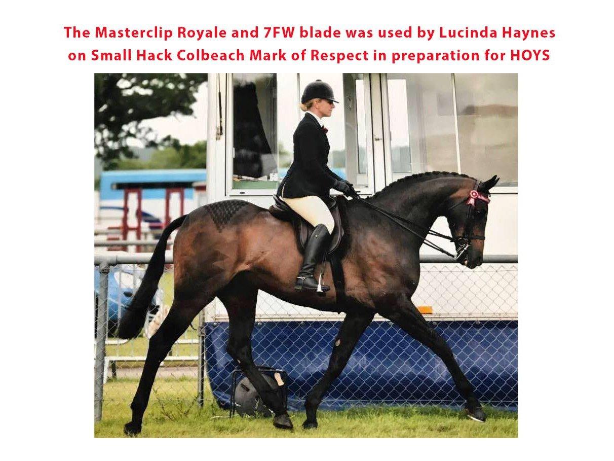 Royale with 1 Medium Cut Blade-Masterclip