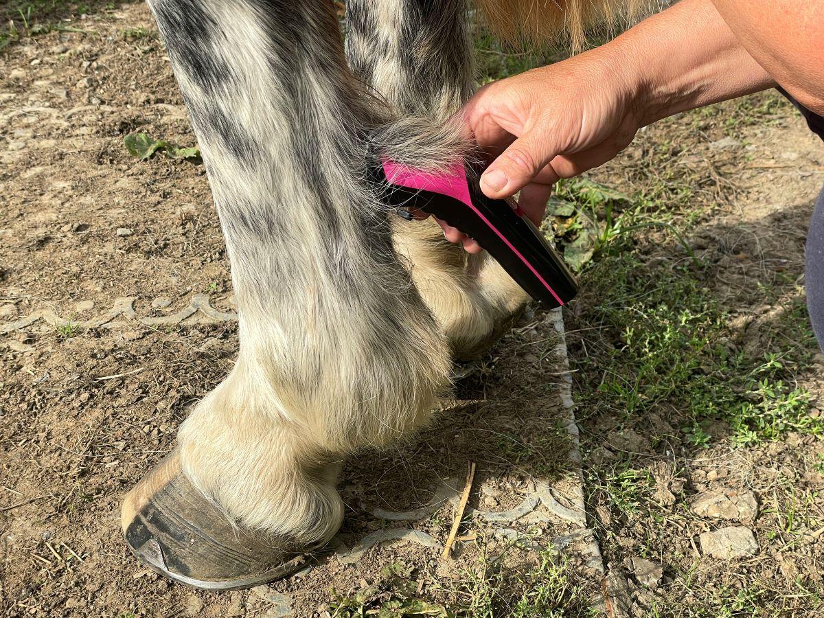 Showmate II Cordless Horse Trimmer - Pink - Masterclip