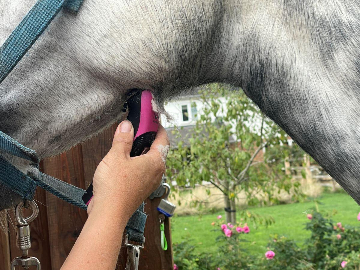 Showmate II Cordless Horse Trimmer - Pink - Masterclip