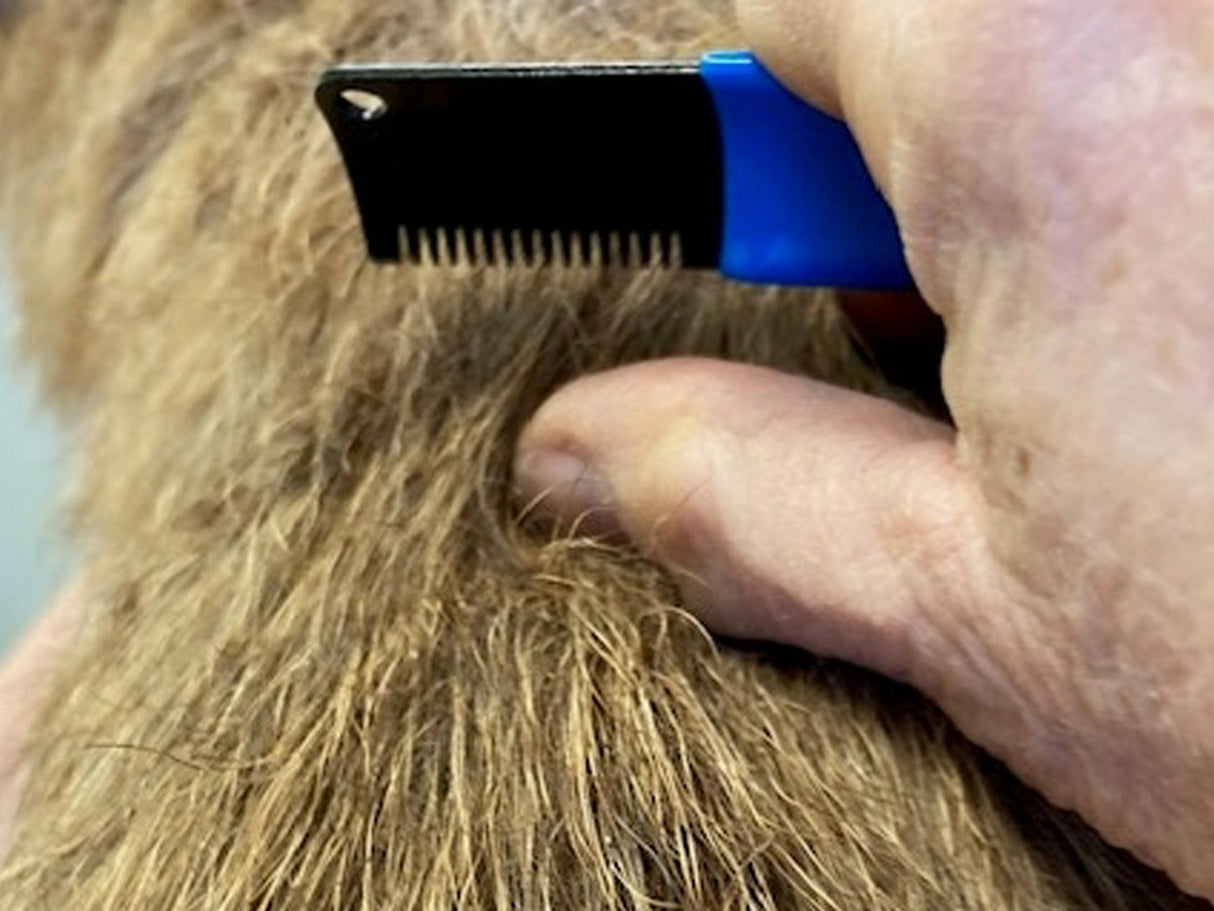 Stripping Knife for Coarse Coats - Masterclip