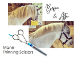 Thinning Scissors - Ideal for Feathers, Mane & Tail - Masterclip