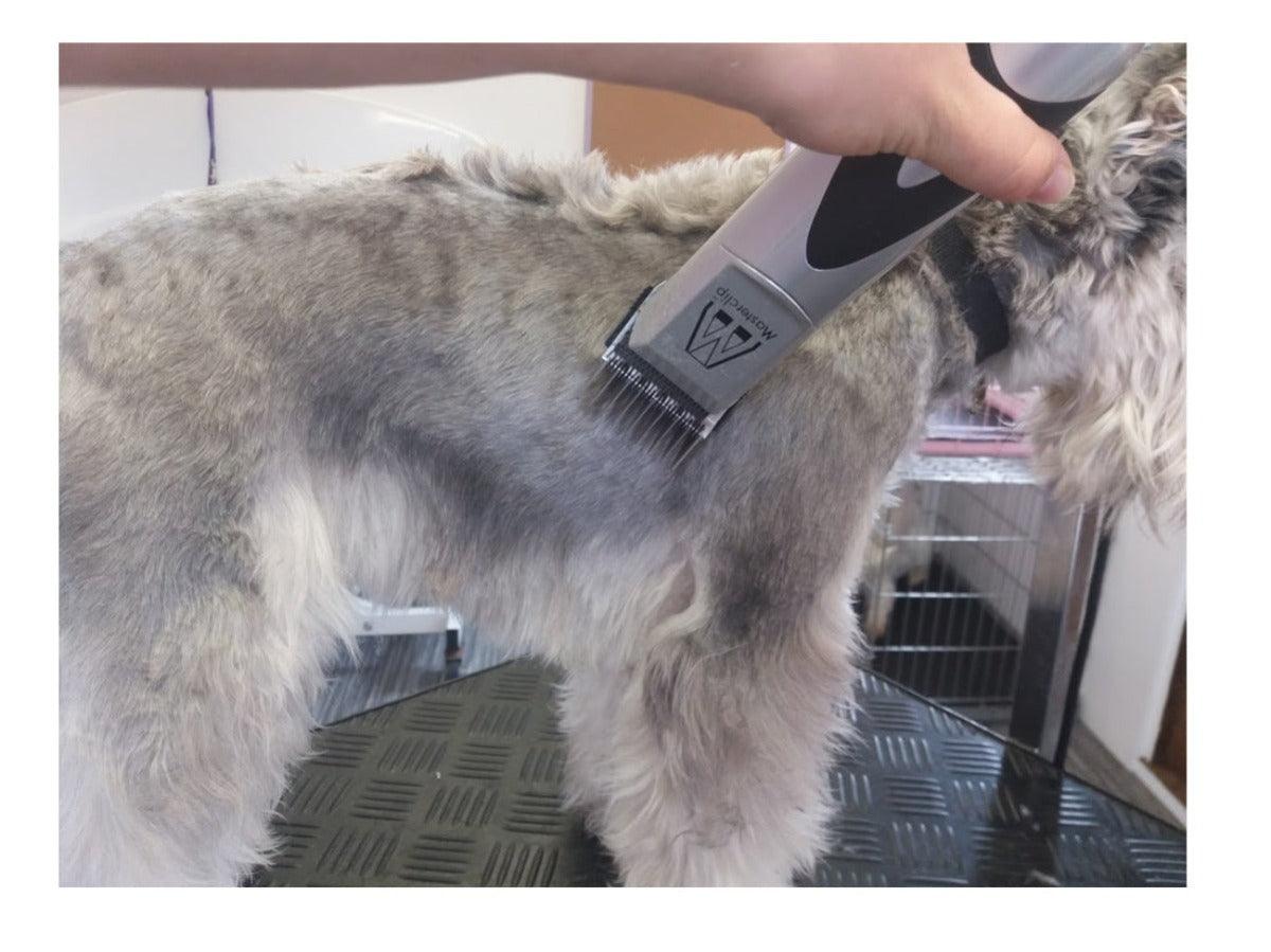 Ultimate Dog Clippers Set | Mains Powered Pedigree Pro with 9 comb guides - Masterclip