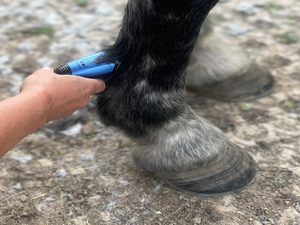 Ex-Demo Showmate II Cordless Horse Trimmer - Blue