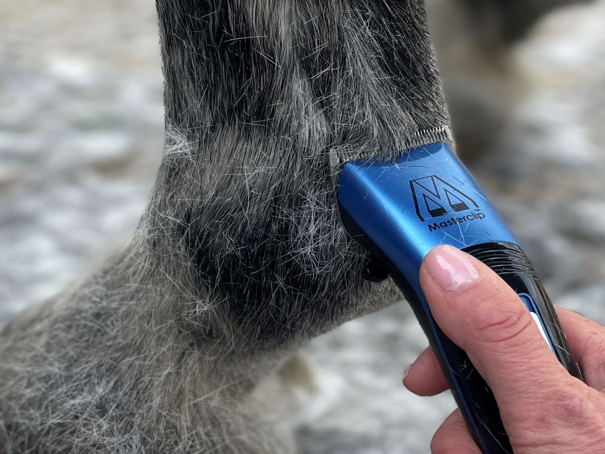 Ex-Demo Showmate II Cordless Horse Trimmer - Blue