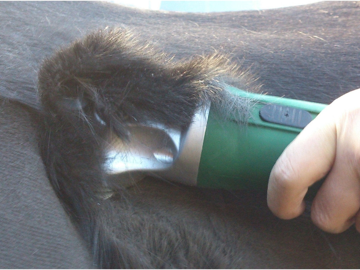 Lightweight Hunter 200W Pro Clipper-Masterclip