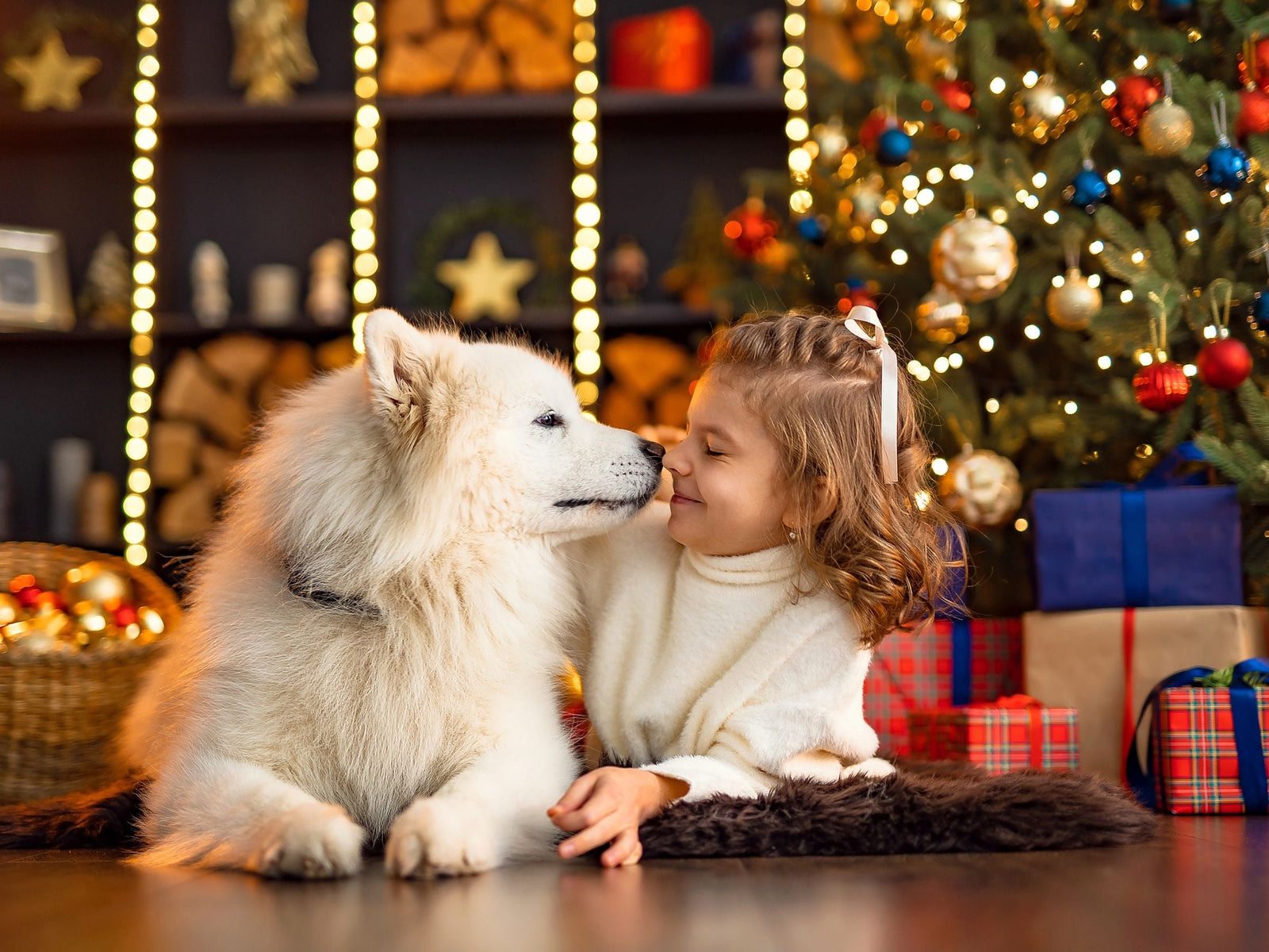 a fluffy white dog nose to nose with a young child next to a Christmas tree.