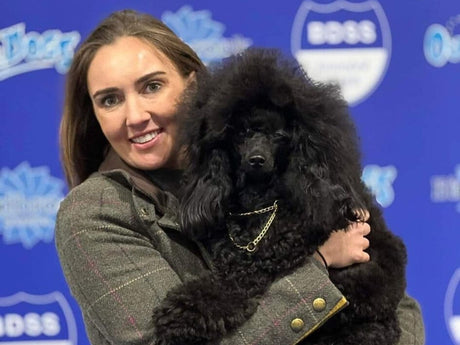 Zara Leech holding her beautiful black miniature show poodle Laci at the dog show
