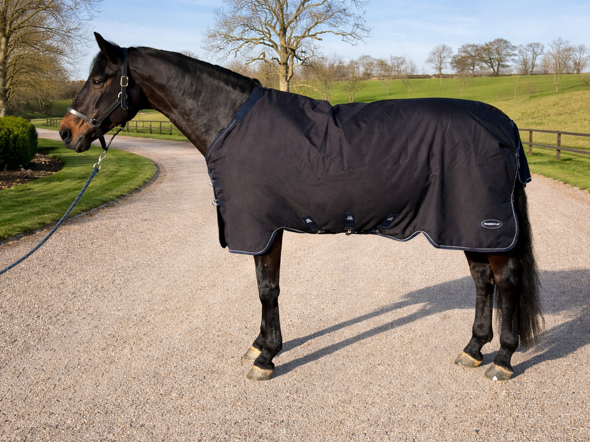 How To Measure A Horse For A Rug: Size Chart & Fitting Guide – Masterclip