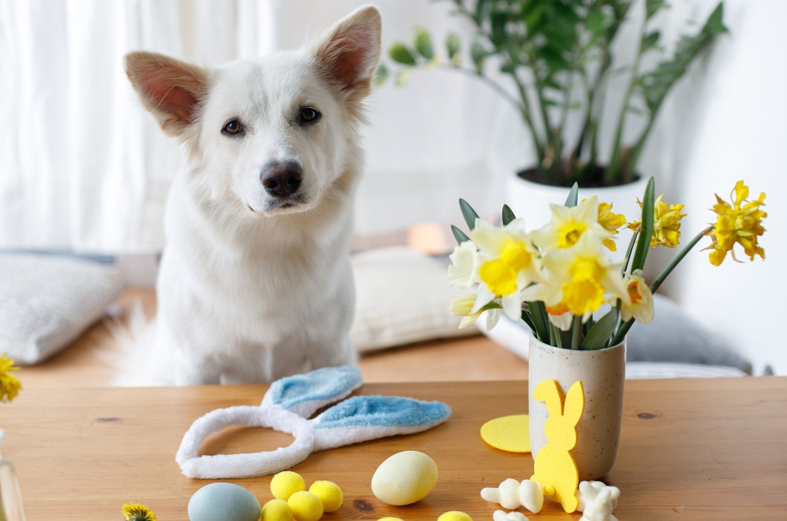 A white dog next to some  easter decorations