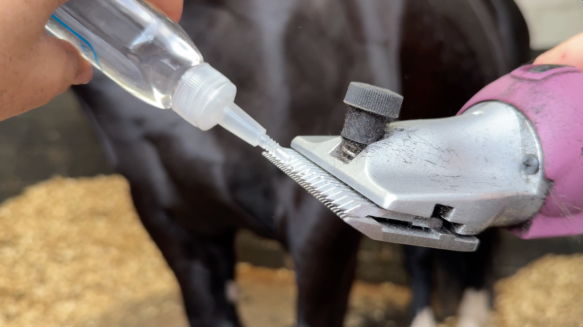 Clipper oil being applied to the Masterclip HD Roamer clippers