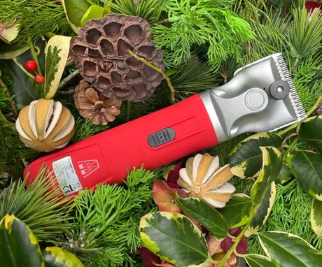 The red hunter horse clipper surrounded by a festive wreath