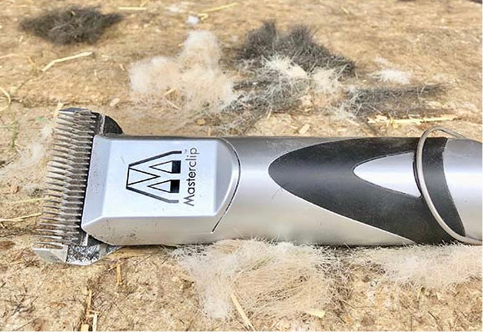 A close up for the Royale horse clipper lying on a stable floor surrounded by clipped hair 