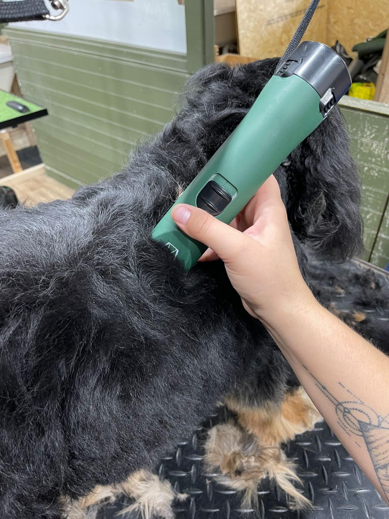 Best long hair outlet dog clippers