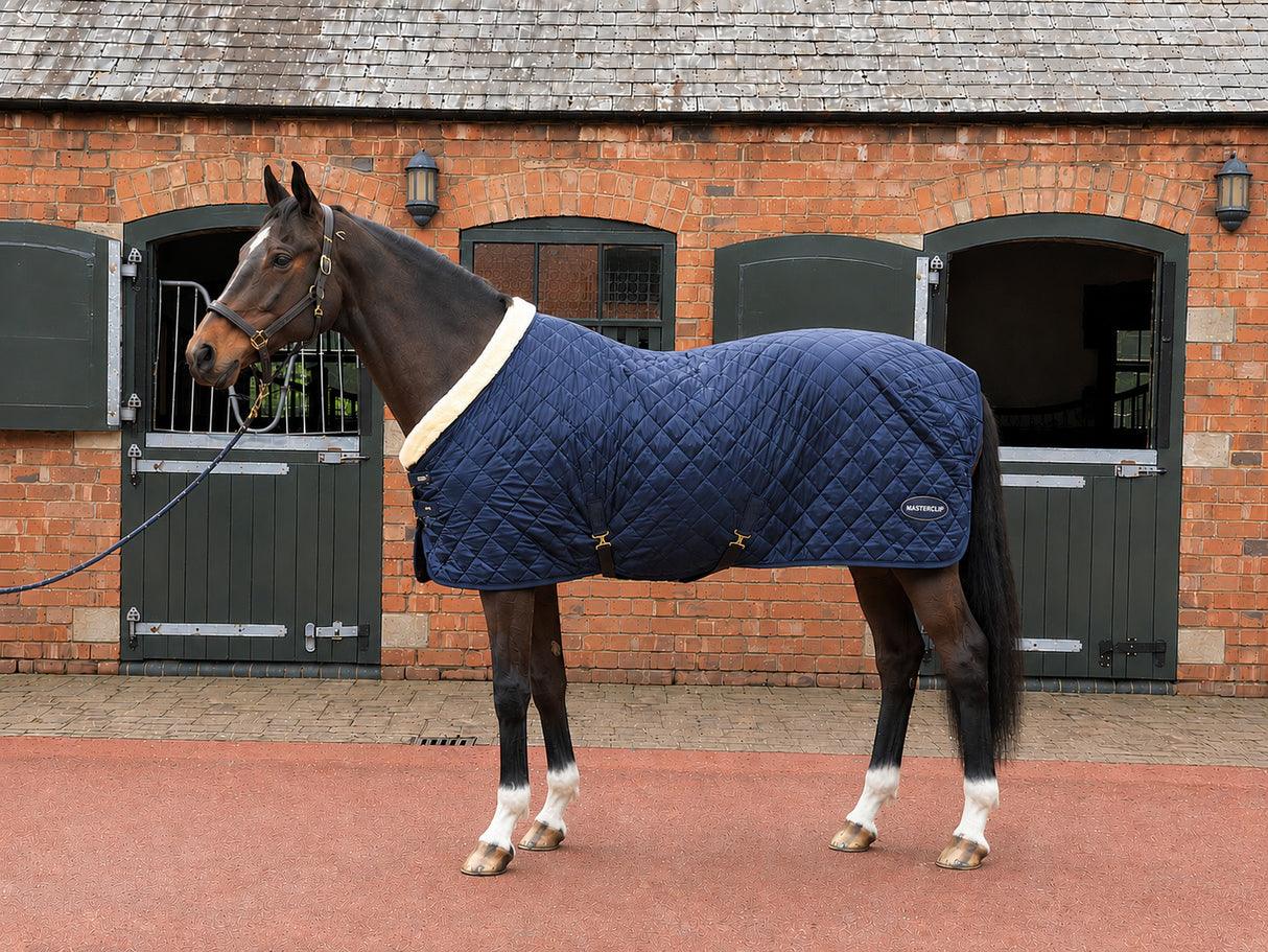 Masterclip 100G Stable Rug - Diamond Quilted Ideal Post Clip  - Lightweight & Insulating